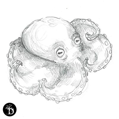 série fonds marins deuxième poulpe recroquevillé création traditionnelle draculyre illustratrice
