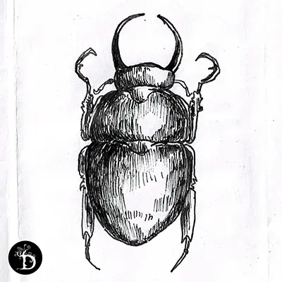 série scarabées troisième scarabée création traditionnelle draculyre illustratrice