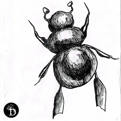 série scarabées quatrième scarabée création traditionnelle draculyre illustratrice