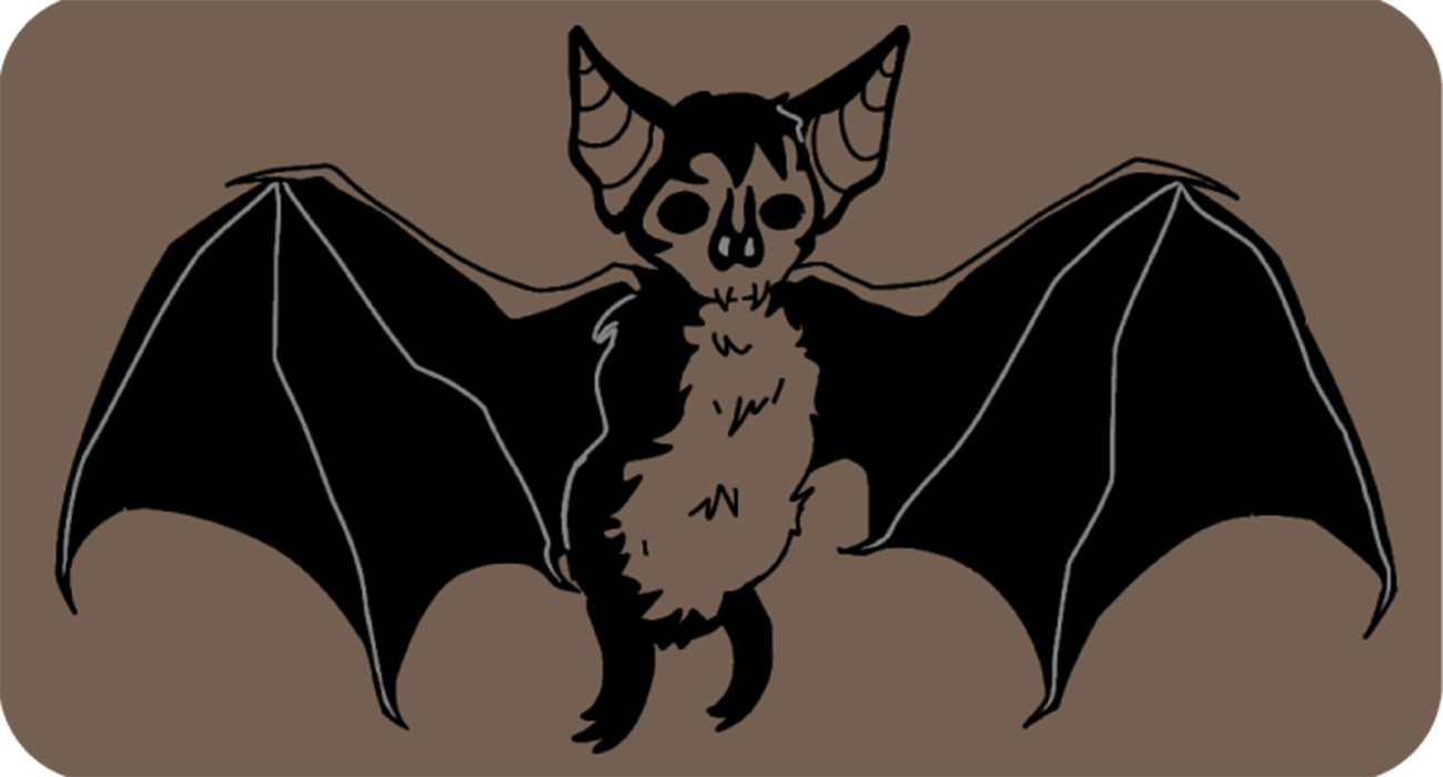 image d'en-tête contact draculyre illustratrice